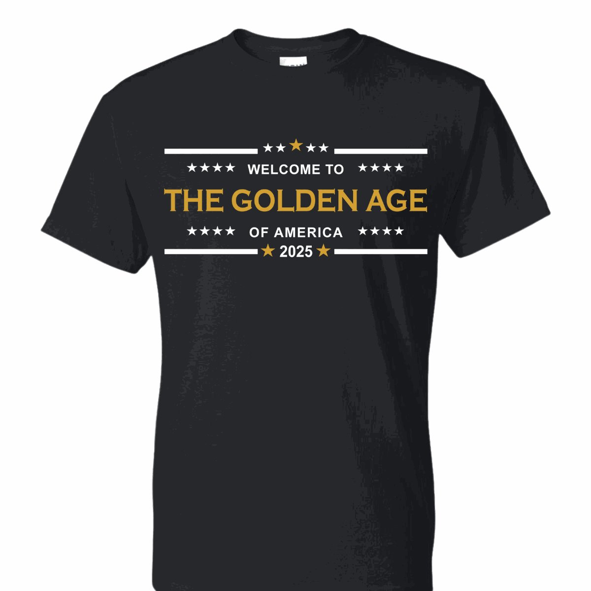 Welcome To The Golden Age of America Trump T-Shirt black and sport grey moisture-wicking patriotic adult tee